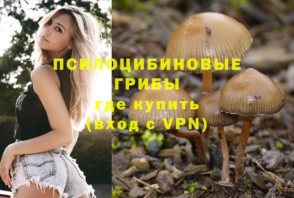 ALPHA PVP Арсеньев