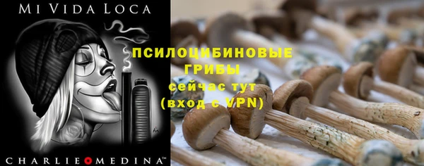 шишки Армянск