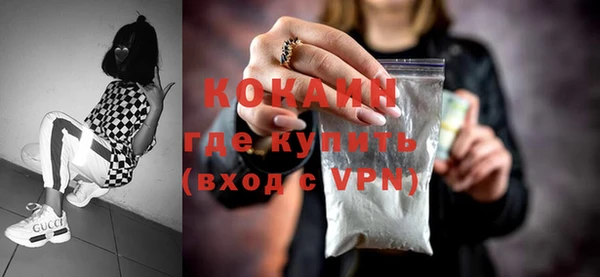 шишки Армянск