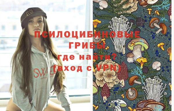 шишки Армянск