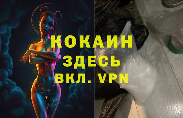 шишки Армянск