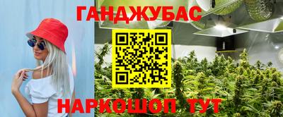 индика Апшеронск