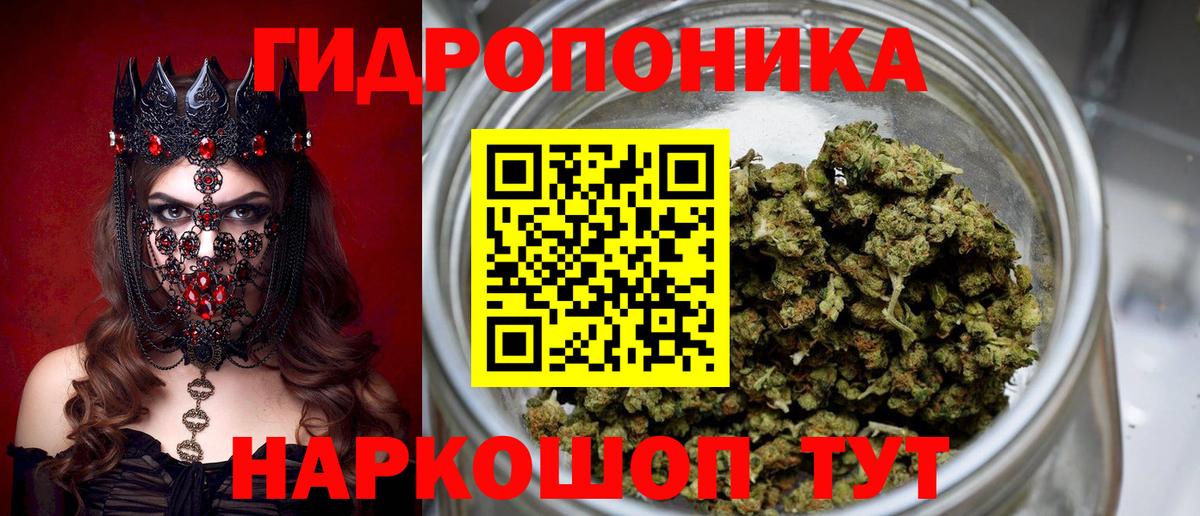 Каннабис ГИДРОПОН  Бошки марихуана конопля  Баксан  Каннабис THC 21%  Вход с VPN 